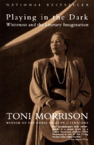 Toni Morrison vo svojej knihe Playing in the Dark